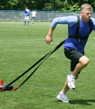 Load image into Gallery viewer, Sled Harness