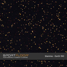 Load image into Gallery viewer, Stamina 4' x 6' x 3/4" Rubber Mats
