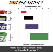 Load image into Gallery viewer, SR Fitbands
