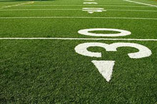 Load image into Gallery viewer, Artificial Turf
